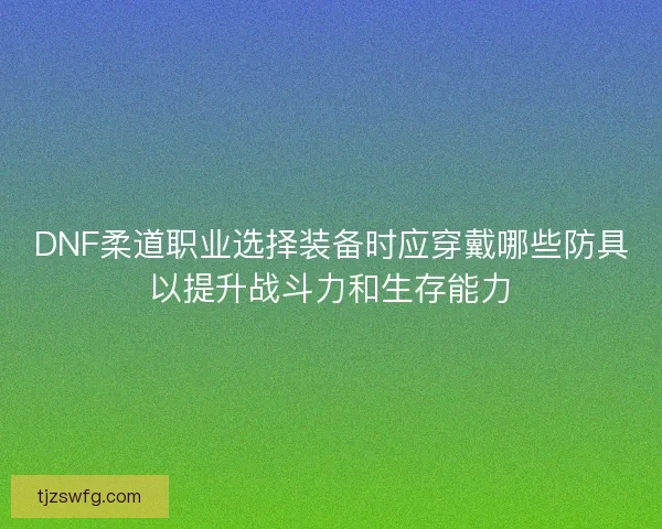 DNF柔道职业选择装备时应穿戴哪些防具以提升战斗力和生存能力
